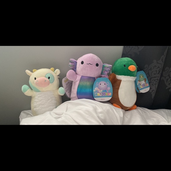 Squishmallow Hugmees - Picture 1 of 1